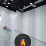 أصباغ داخلية